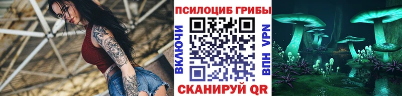Псилоцибиновые грибы GOLDEN TEACHER  как найти закладки  Белая Калитва 