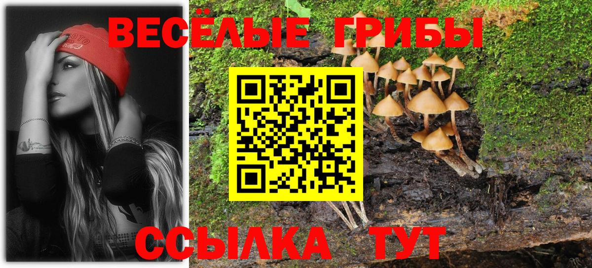 Псилоцибиновые грибы MAGIC MUSHROOMS  Вход с VPN  Белая Калитва 
